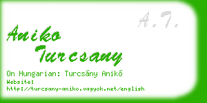 aniko turcsany business card